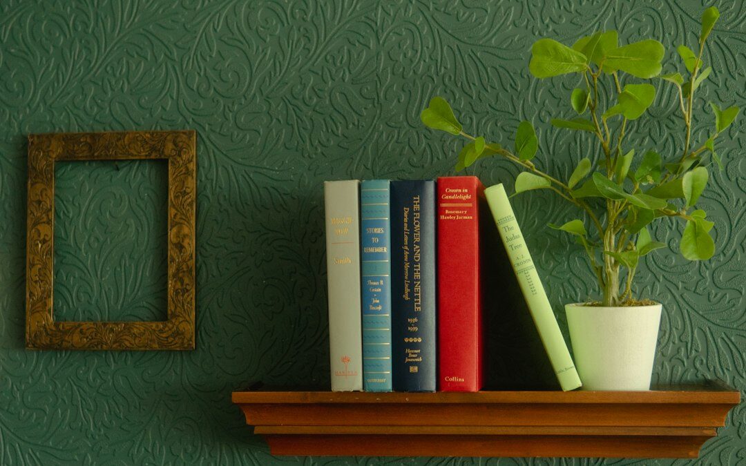 bookshelf with novels