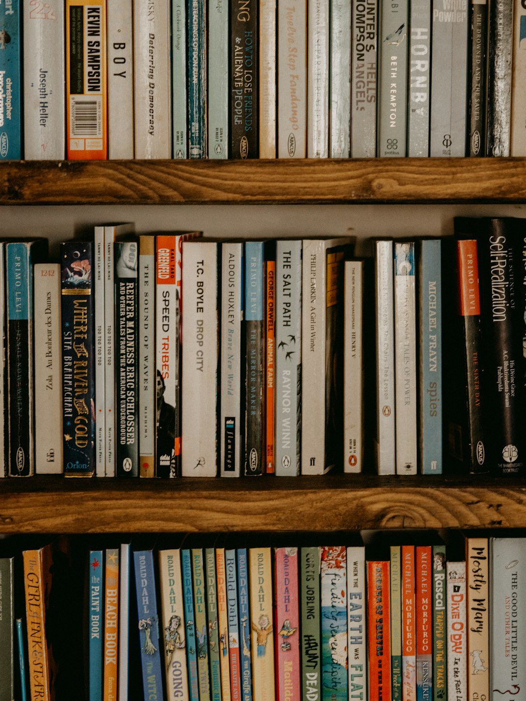 bookshelf with novels
